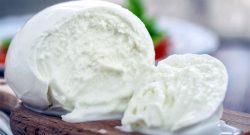 "Gustoso" retroscena - Affronto di Milik, mozzarella in regalo: la sua reazione è stupefacente!