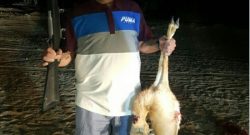 Maradona finisce nei guai: ecco cosa è successo all'ex capitano del Napoli