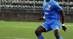 UFFICIALE - Il Napoli cede Gnahorè al Perugia, i dettagli