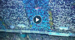 Napoli-Real, l'urlo Champions è spaventoso [VIDEO]