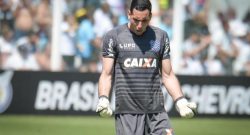 Dal Brasile: "Nome nuovo per il Napoli, c'è Gatito Fernandez del Botafogo"