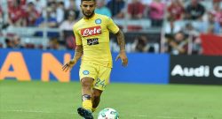 Vergogna a Verona: tifoso travestito da scimmia e Insigne diventa 'Insimmie' [FOTO]