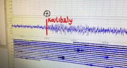 Napoli trema al gol di Koulibaly: lieve scossa di terremoto registrata in città
